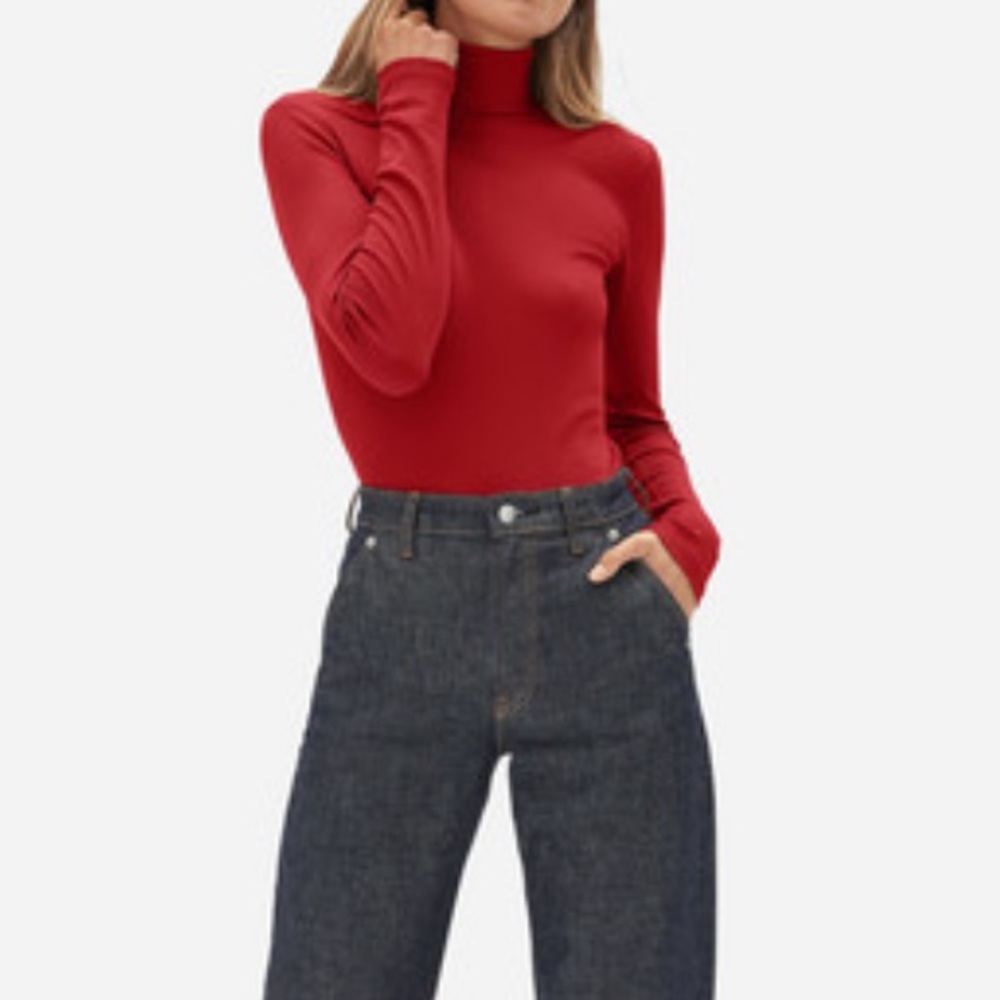 Everlane Pima Micro-Rib Turtleneck - Red